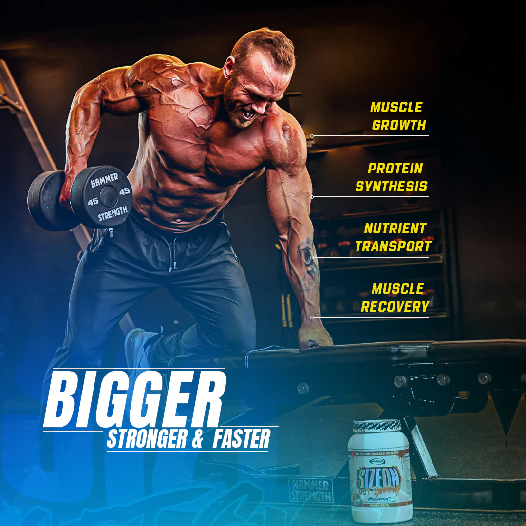 SizeOn - Intra-Workout - Image 3